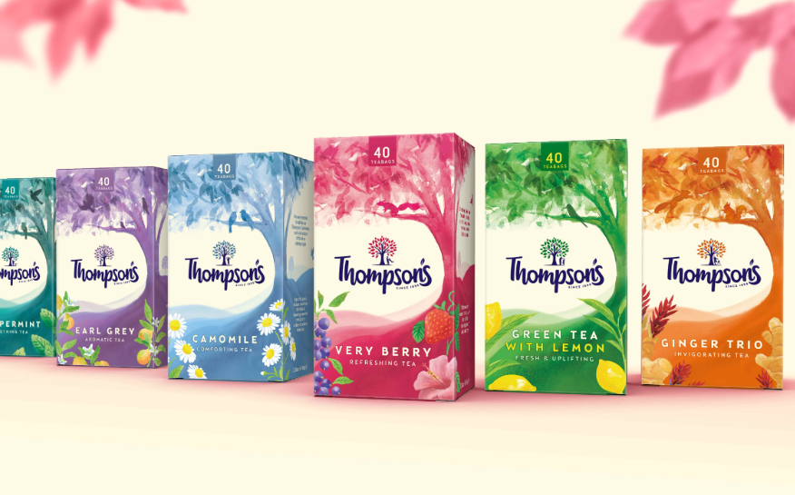 百年茶企的「新葉」覺醒：Thompson's 茶包裝升級設計